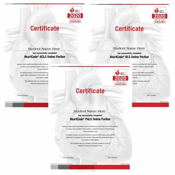 RQI California Skills Testing | American Heart Courses | First Aid Classes